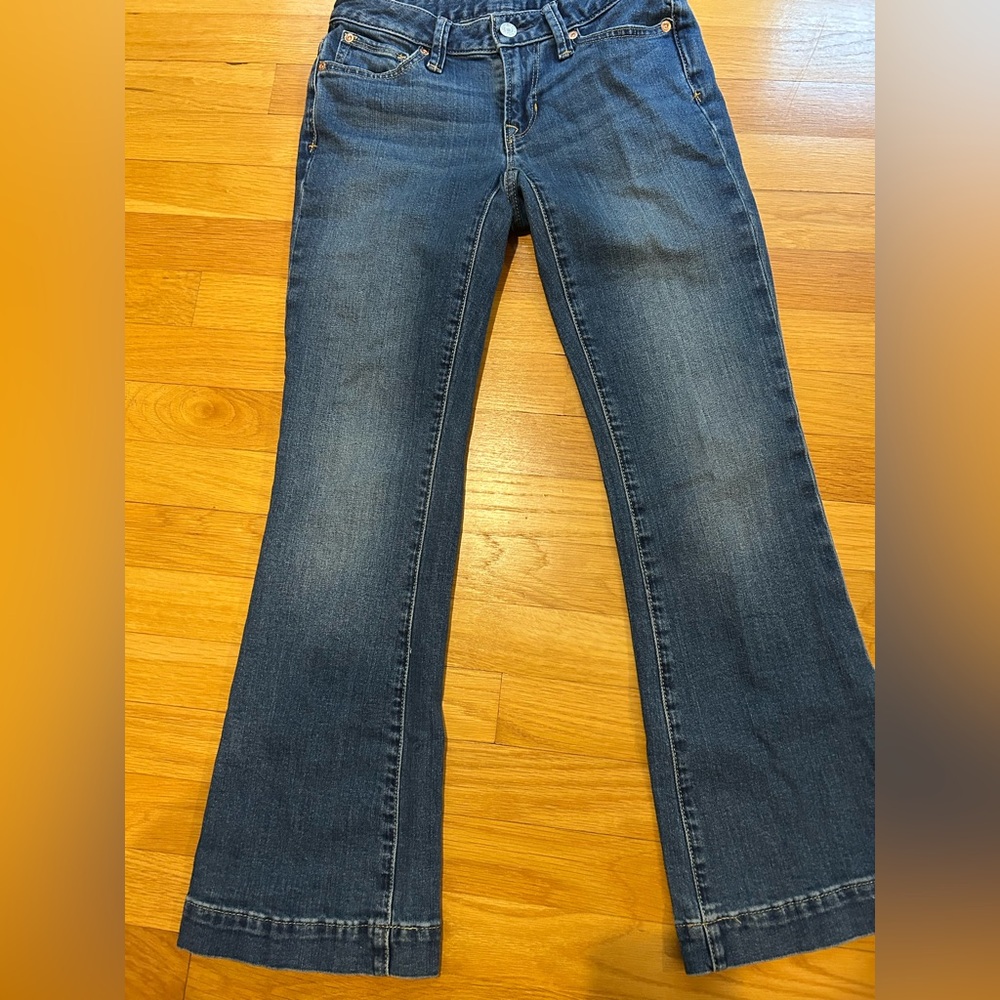 Gap Petite Low Rise Long and Lean Jean